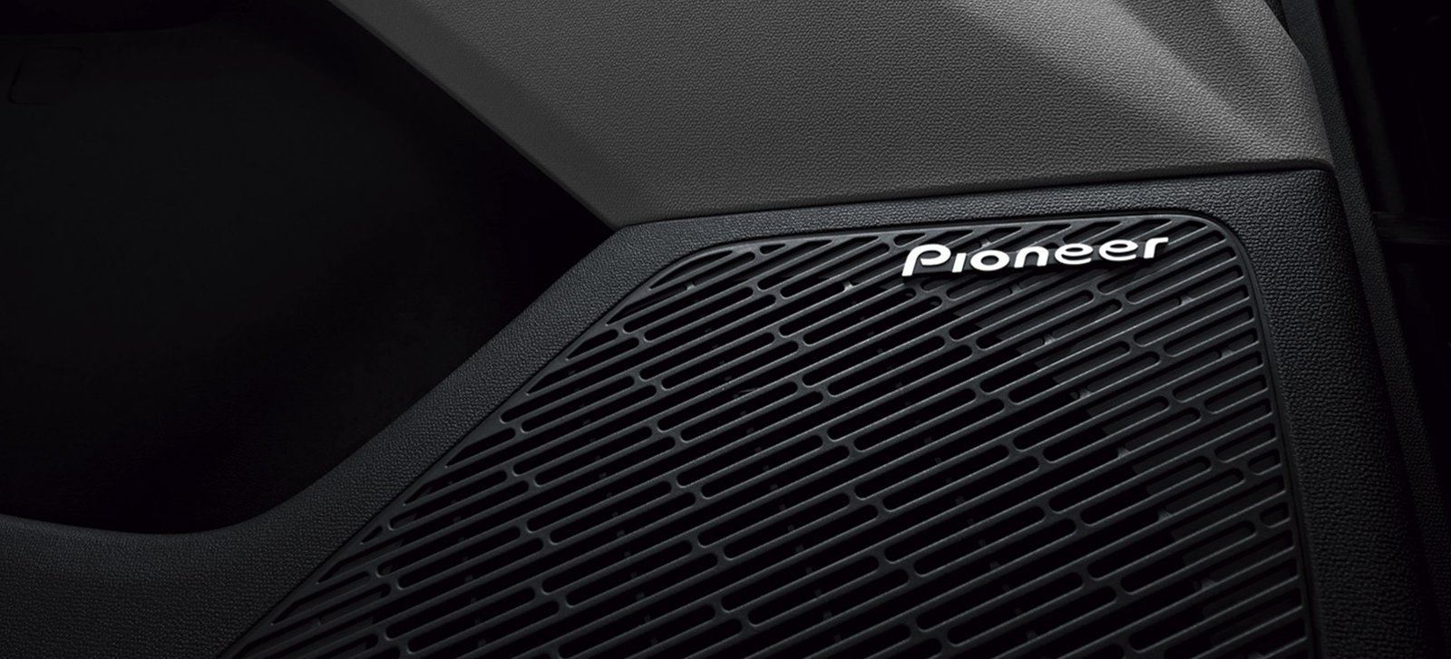 Audio Pioneer®
